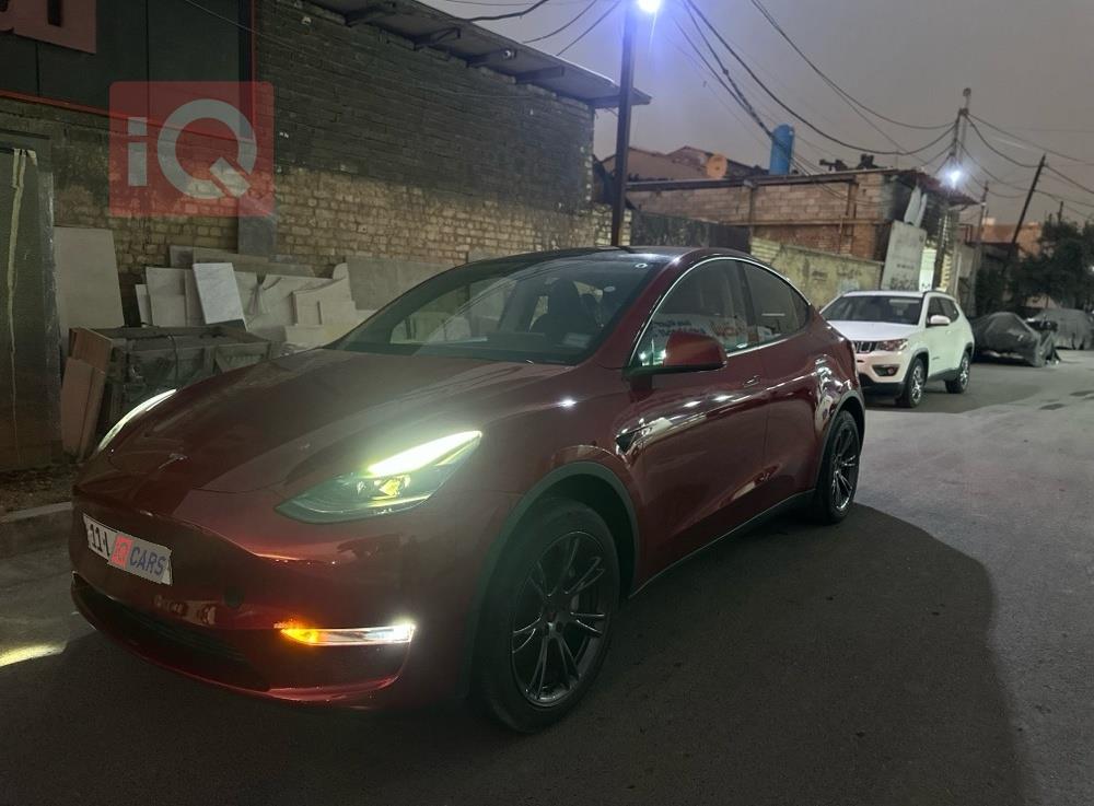 تسلا موديل Y